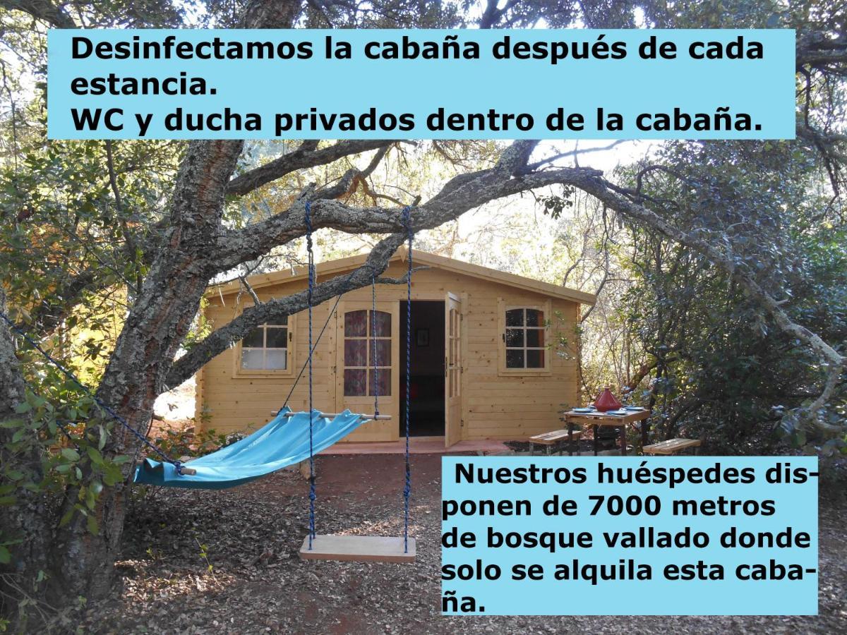 La Cabana Del Alcornoque Кордова Экстерьер фото