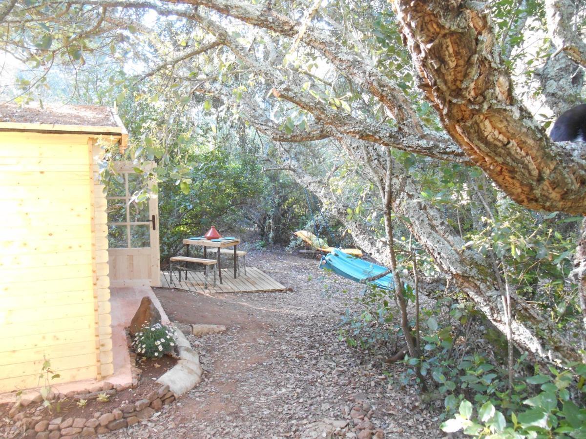La Cabana Del Alcornoque Кордова Экстерьер фото